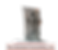 Amistad S&R Logo.png